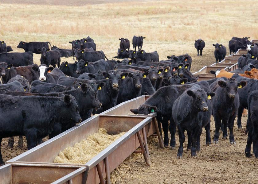 Cattle Market Reform Bills Advance in Senate Ag